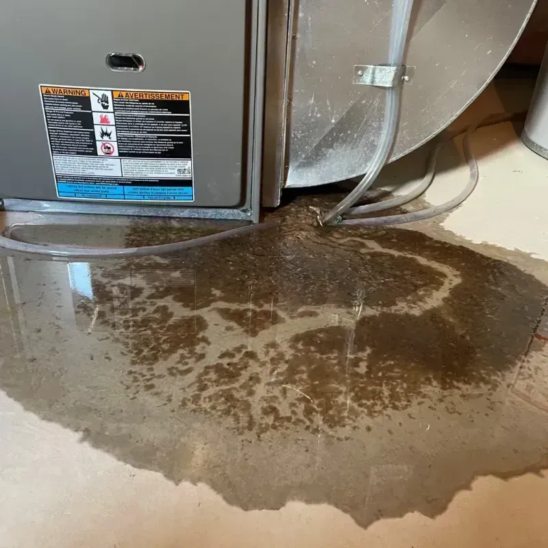 Appliance Leak Cleanup in Elida, OH